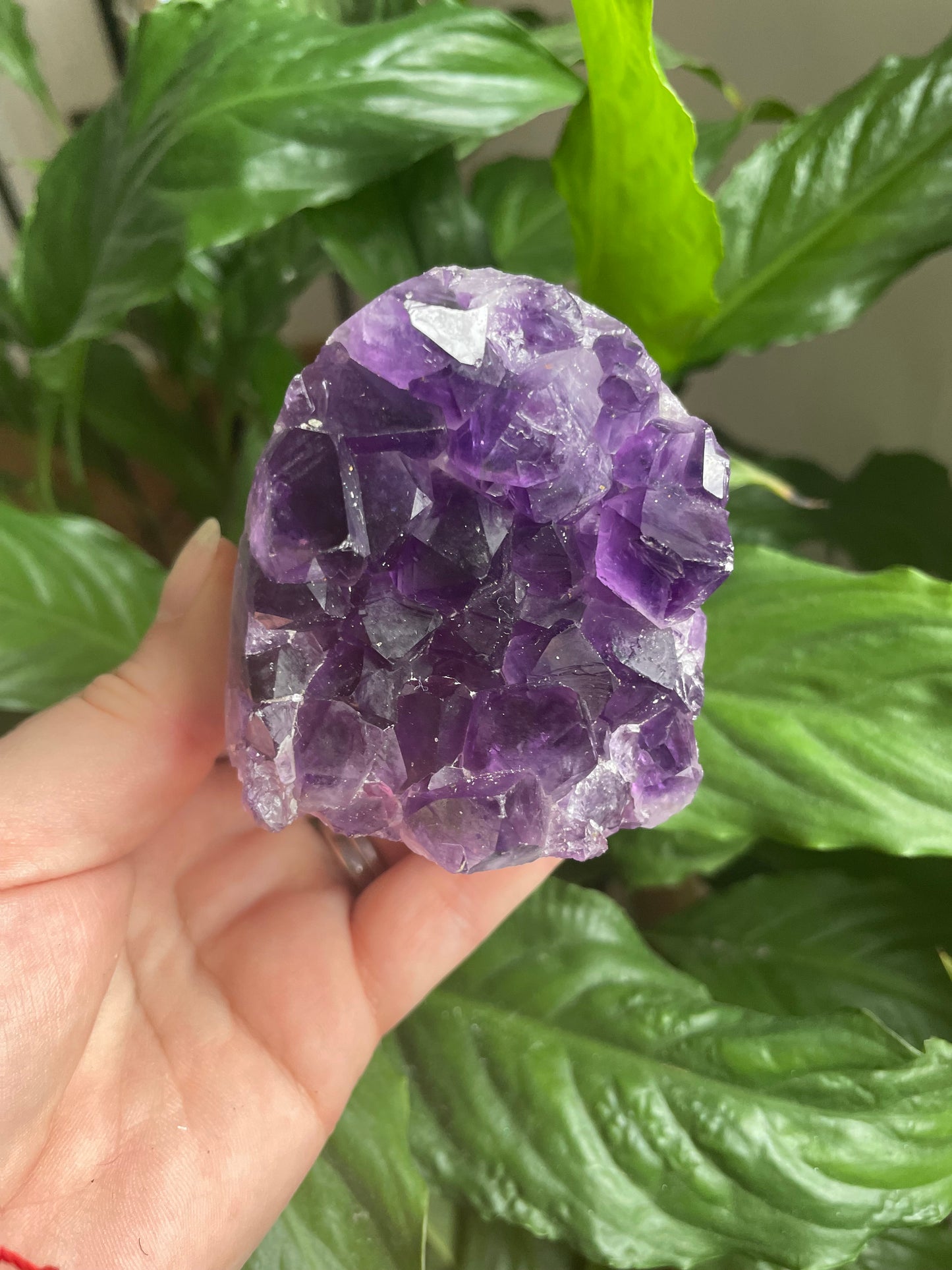 Amethyst Cut Base Geode