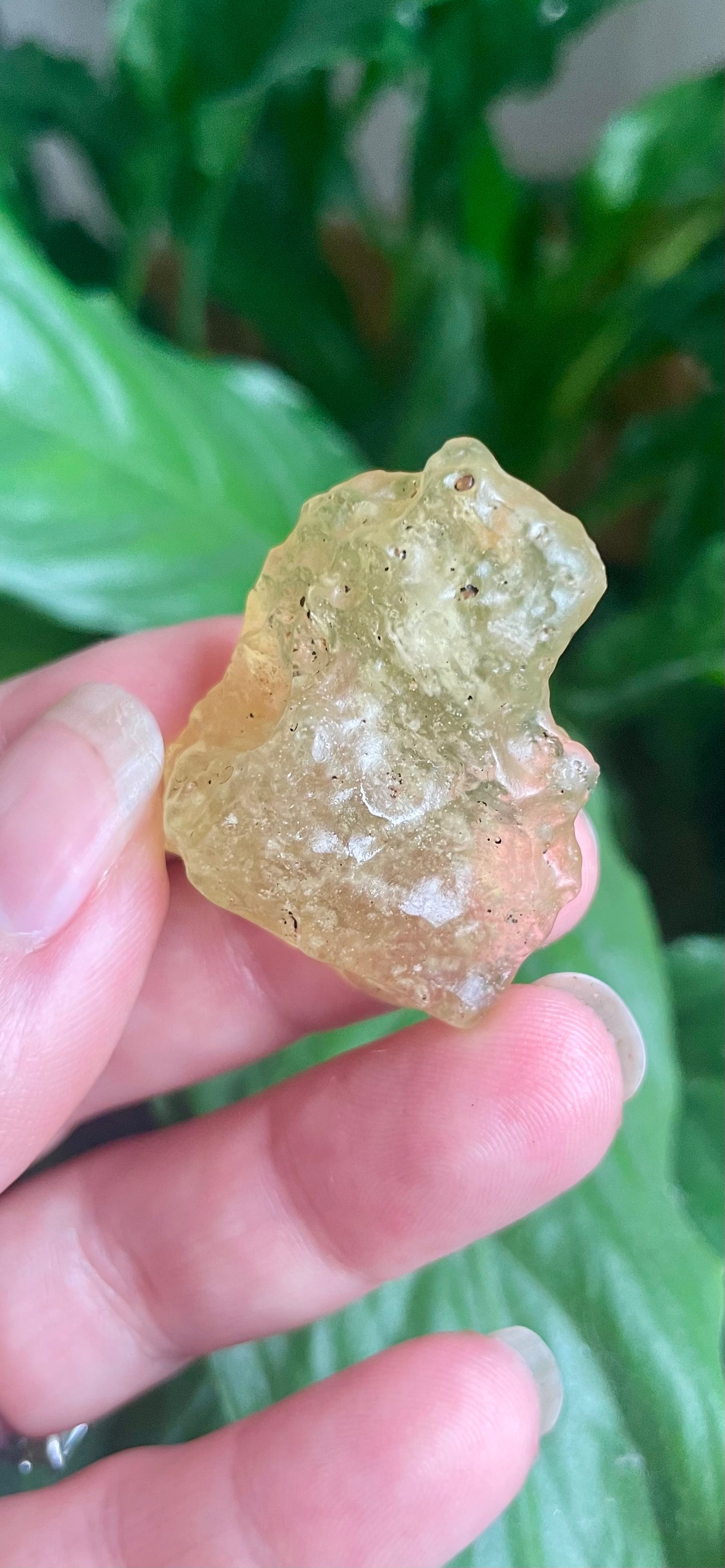 Libyan Desert Glass