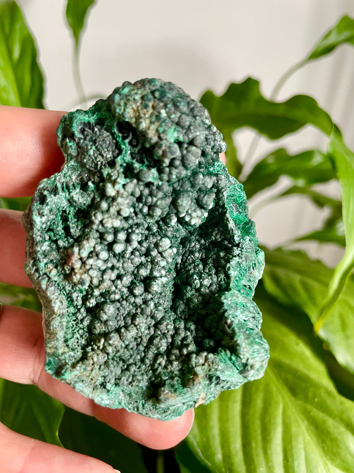 Malachite Velvet Raw Specimen