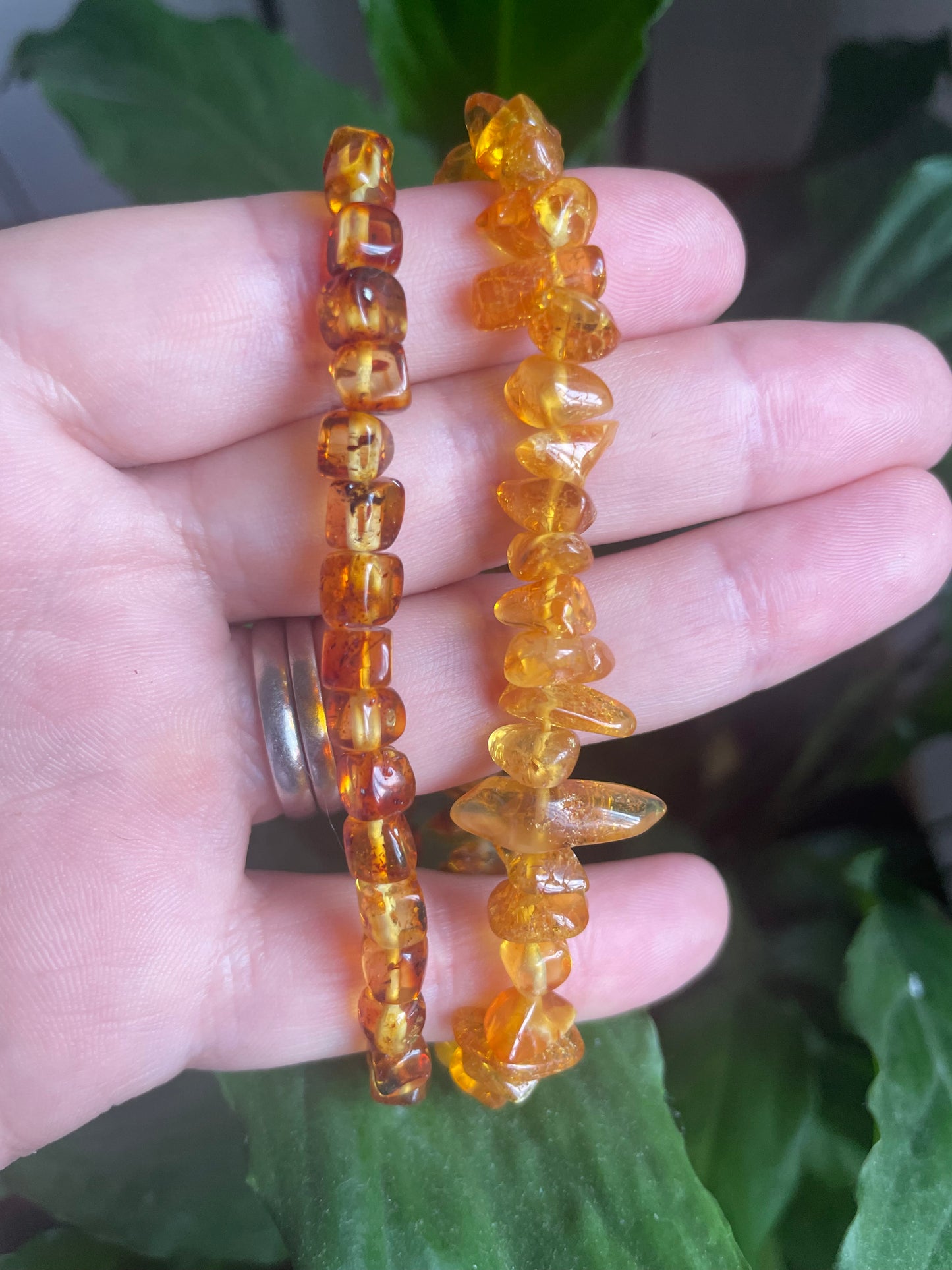 Natural Baltic Amber Bracelet
