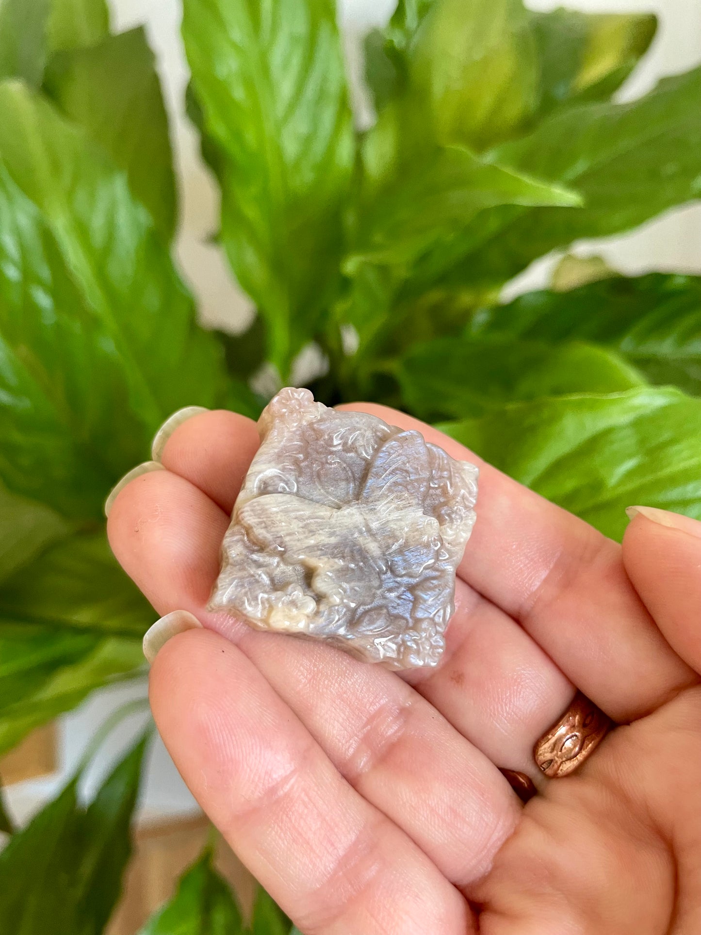 Moonstone Butterfly Carving