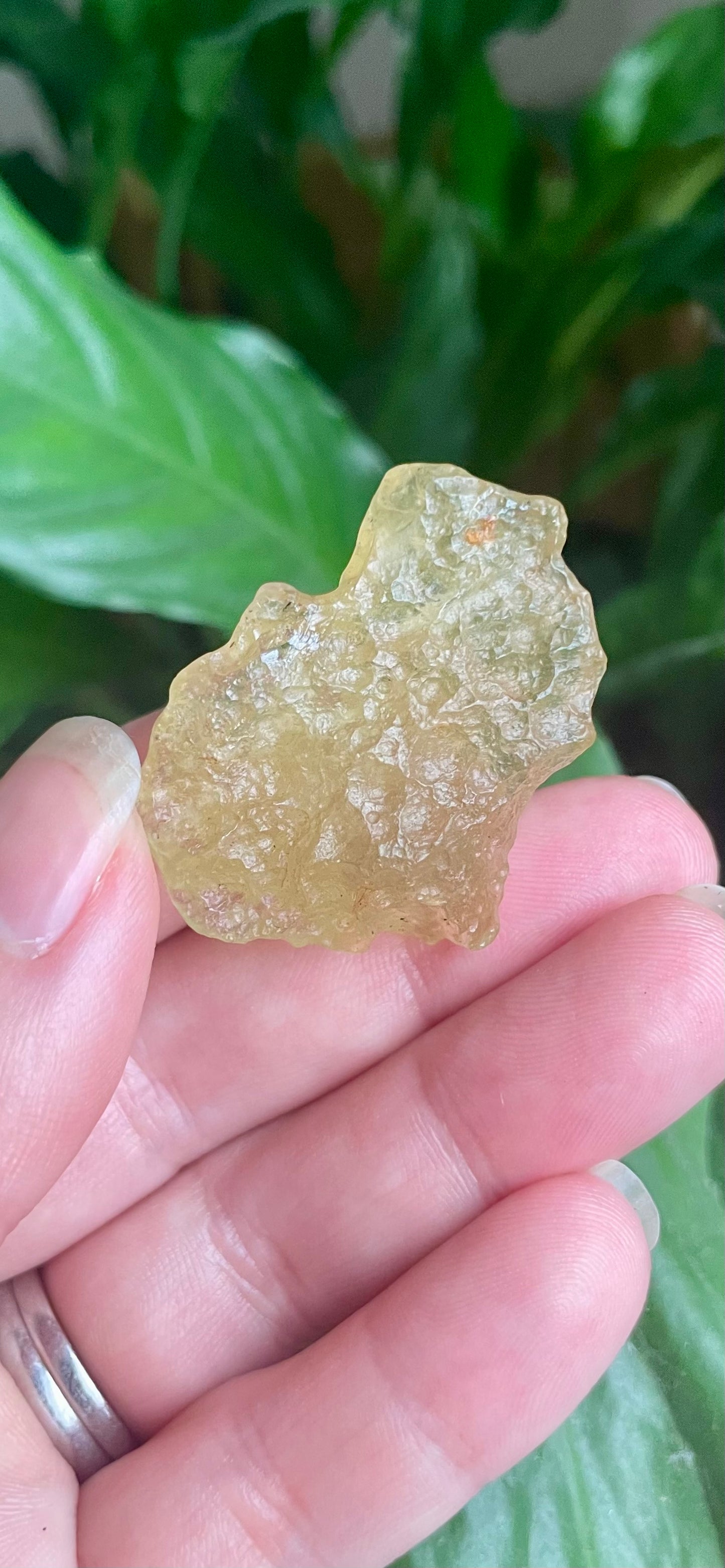 Libyan Desert Glass