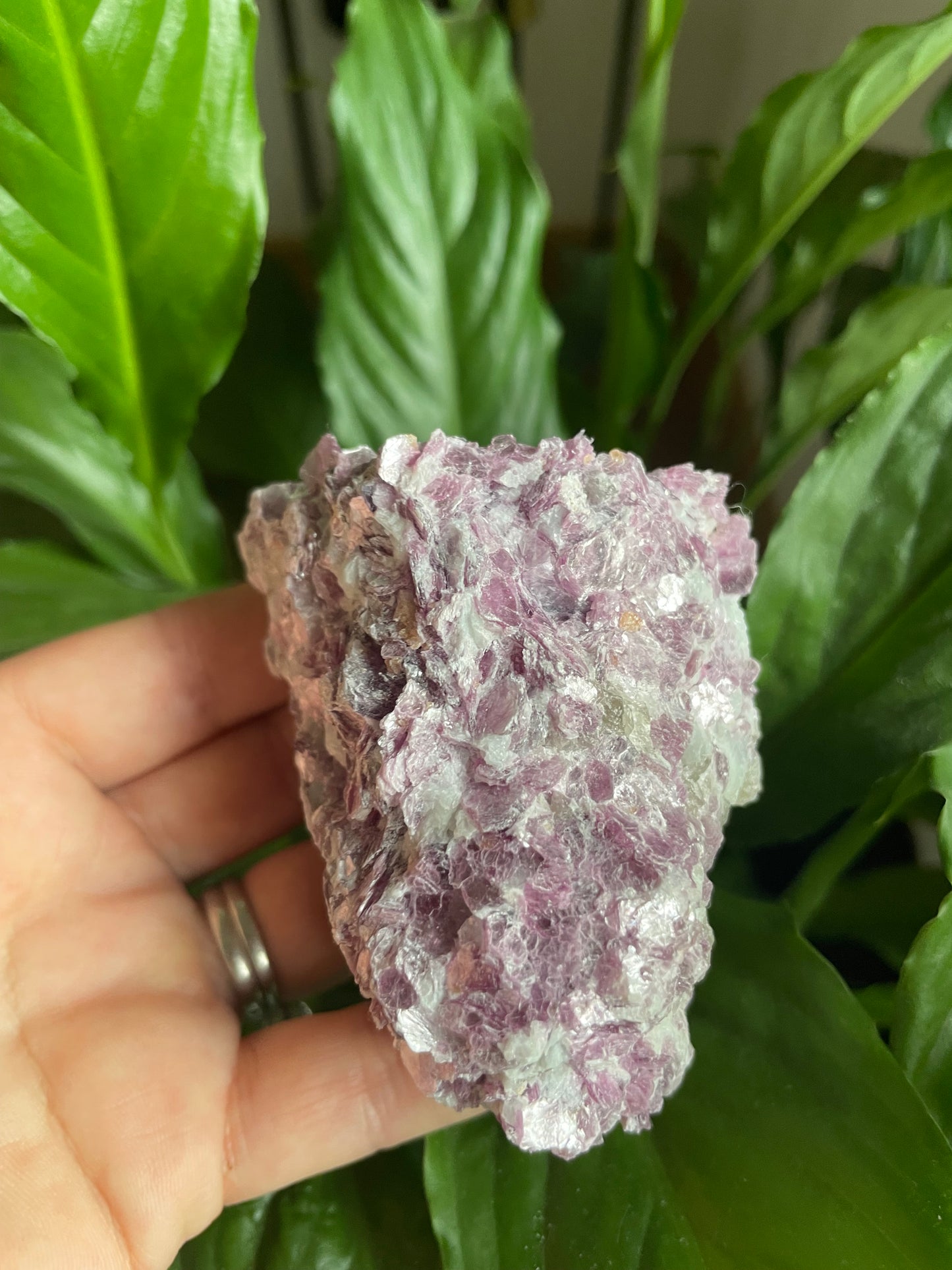 Purple Mica (Lepidolite) Raw Specimen