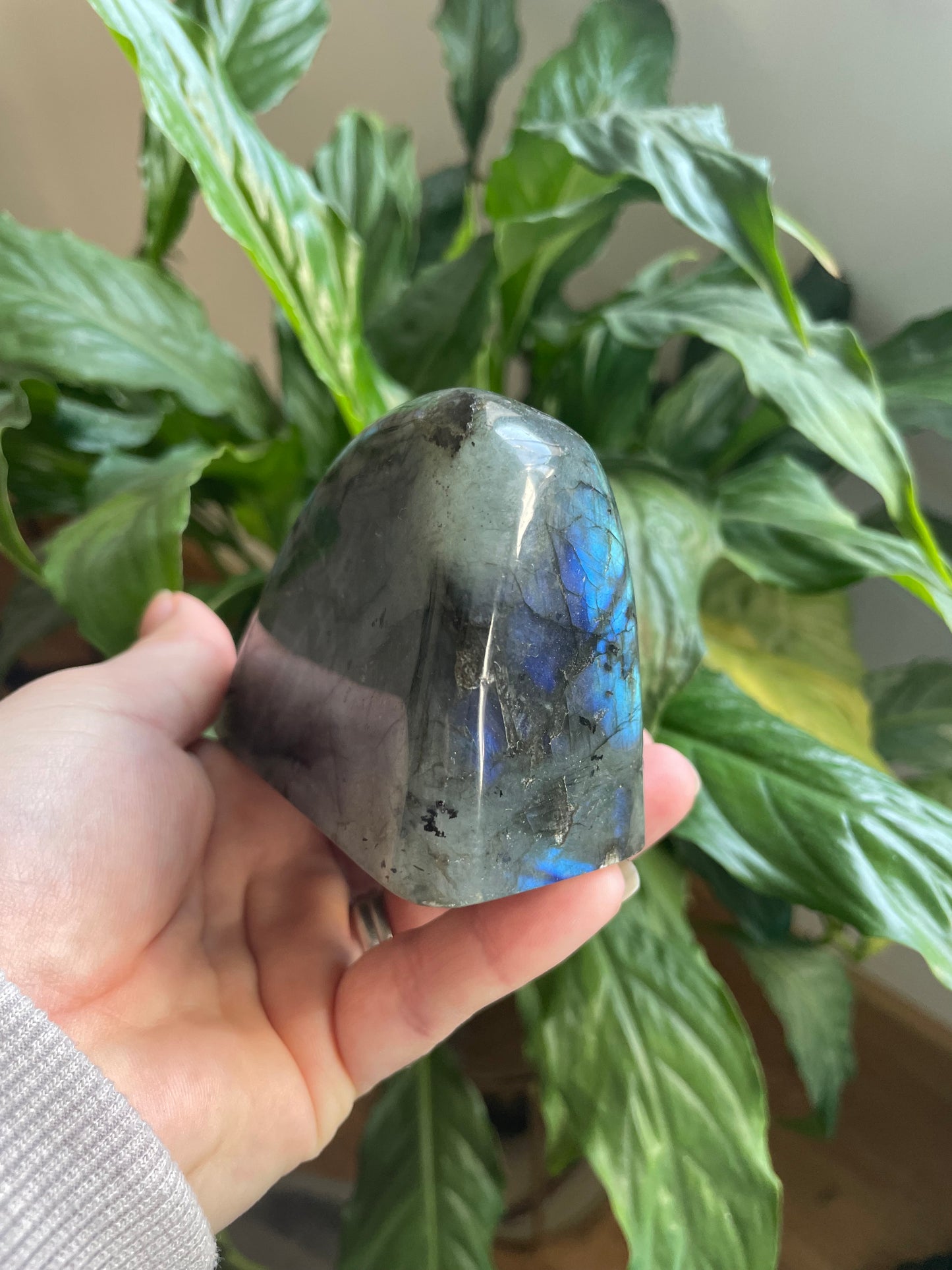 Labradorite Freeform