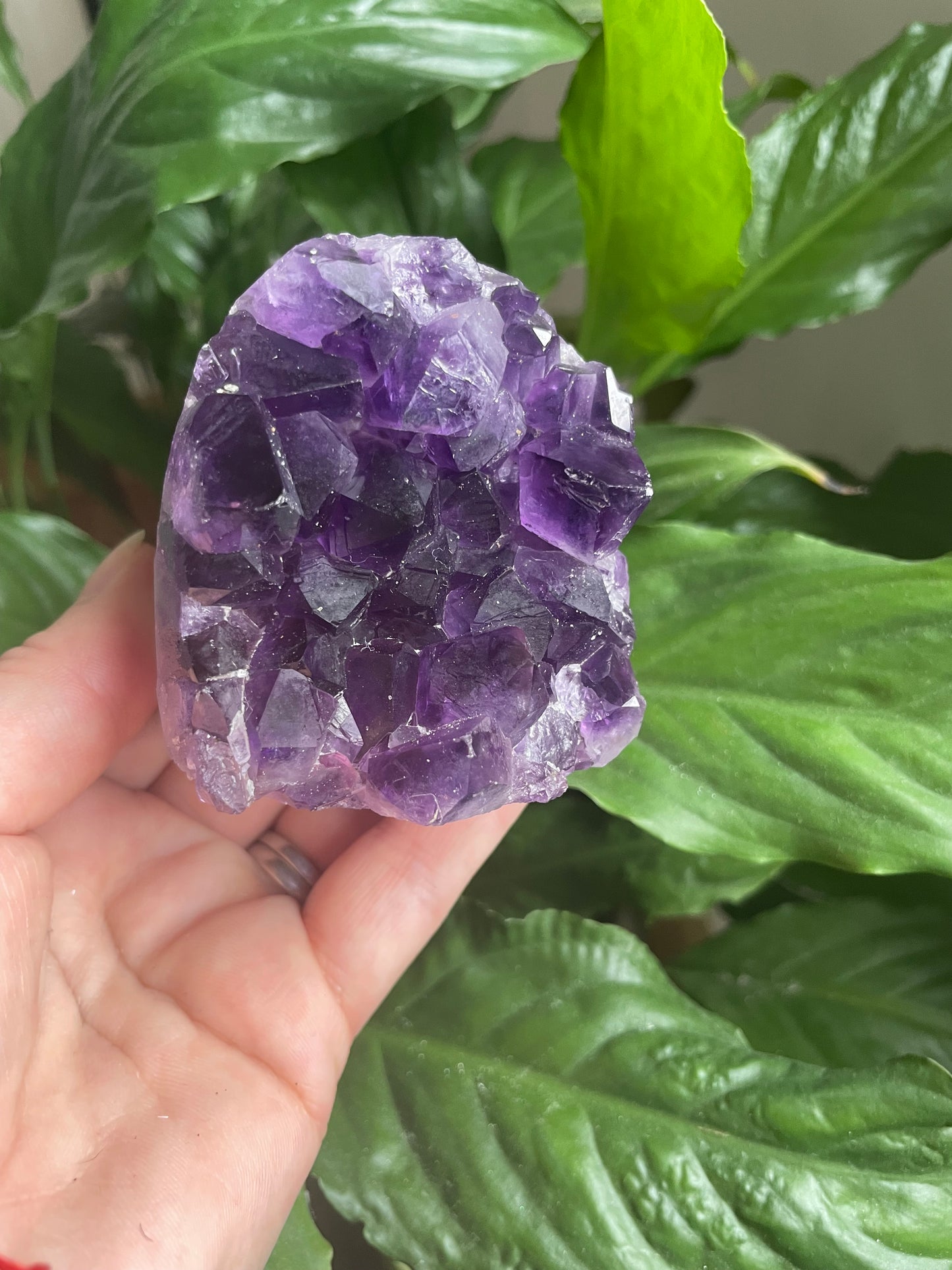 Amethyst Cut Base Geode