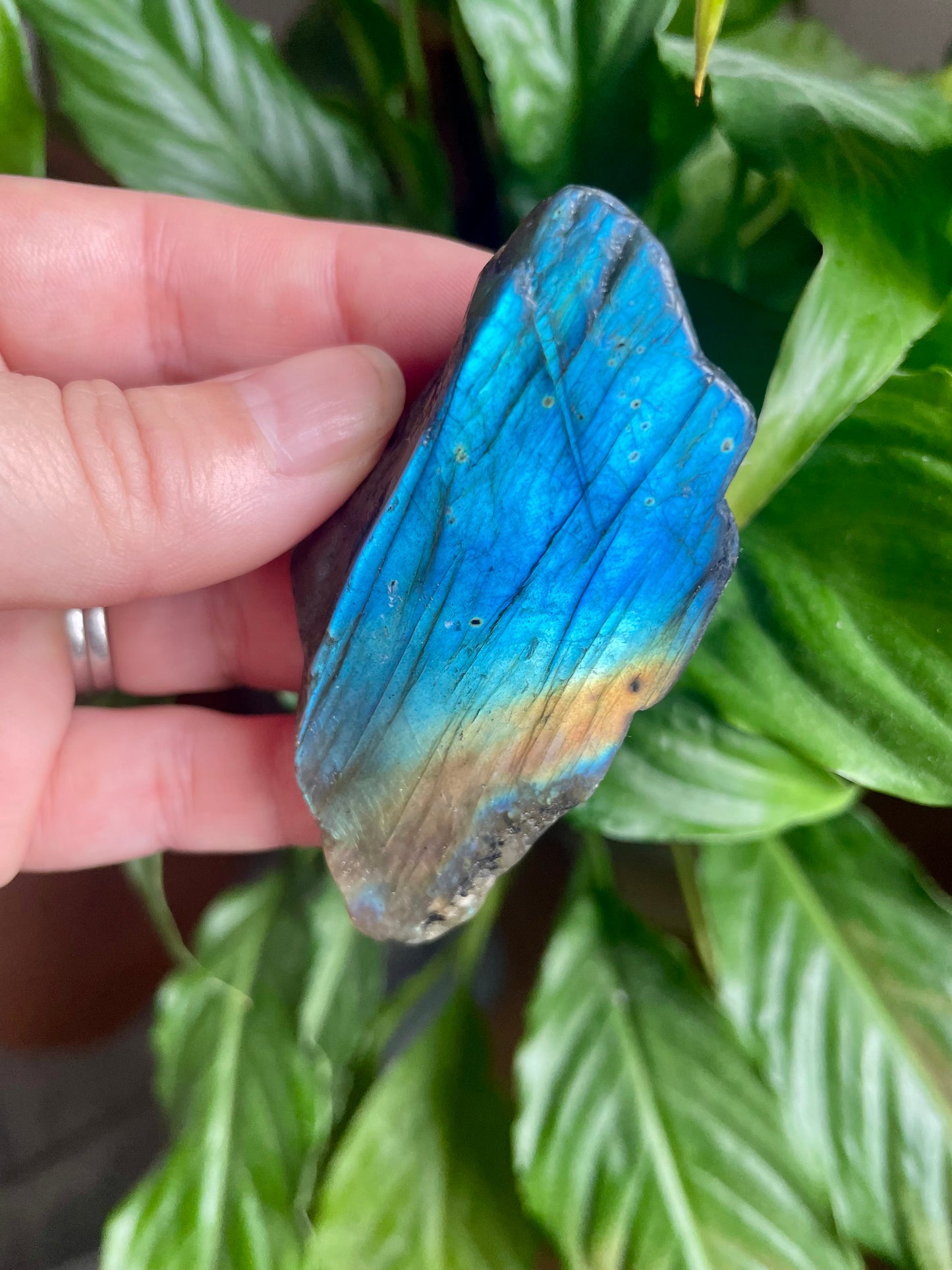 Labradorite Free Form