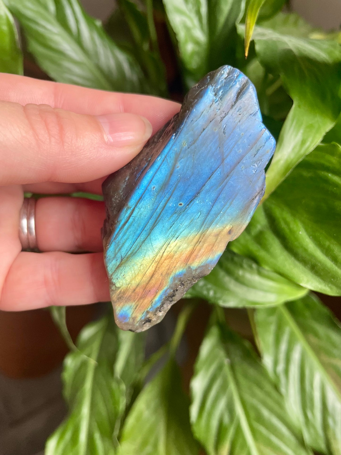 Labradorite Free Form