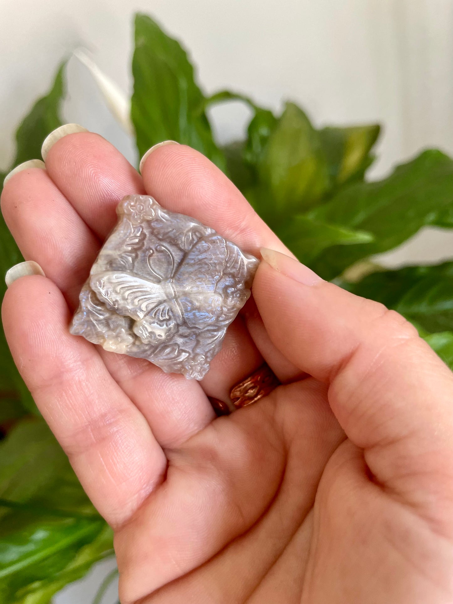 Moonstone Butterfly Carving
