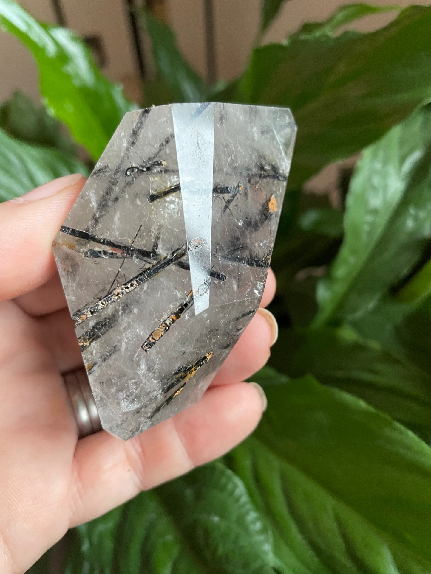 Rutilated Quartz