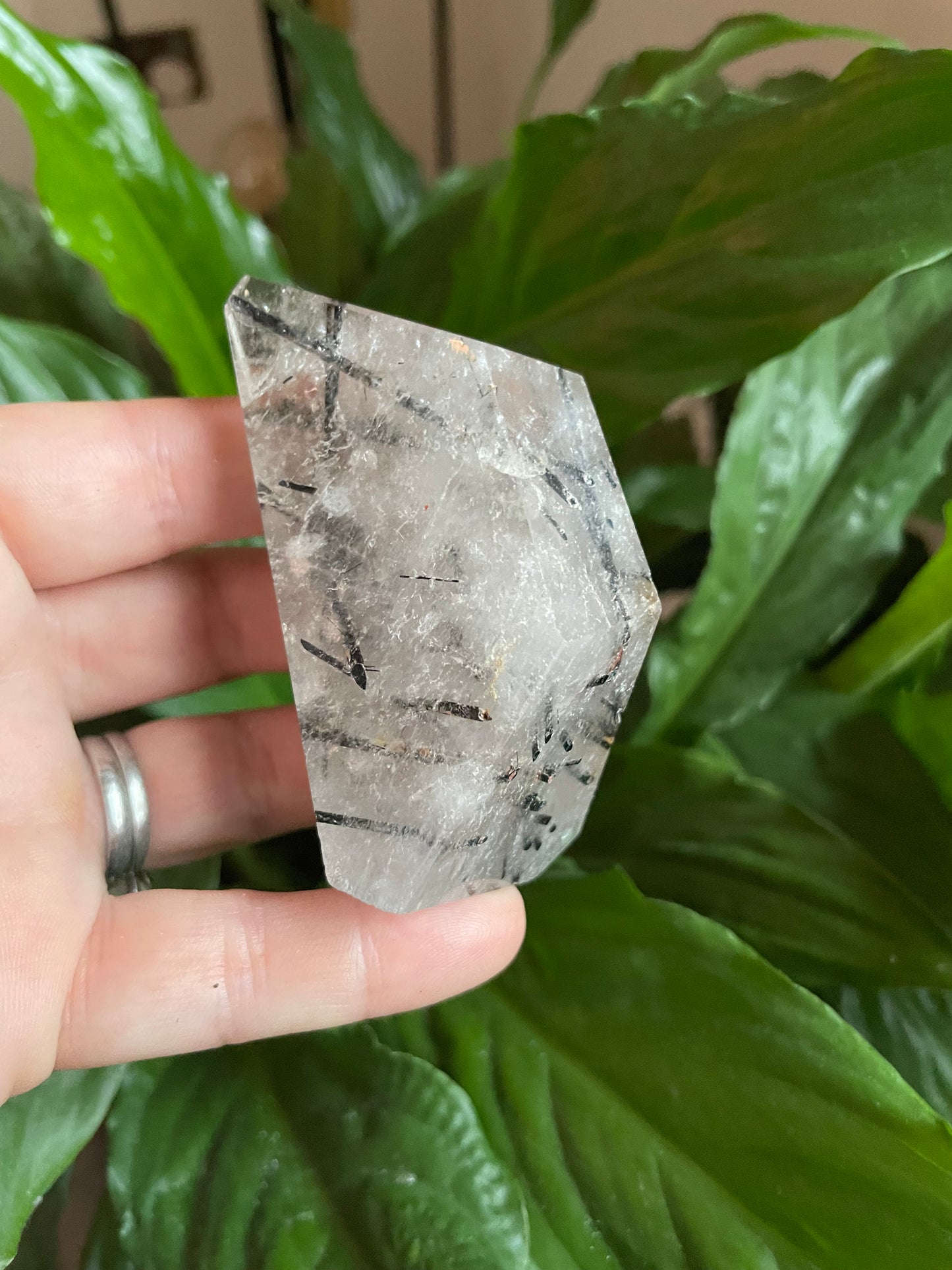 Rutilated Quartz