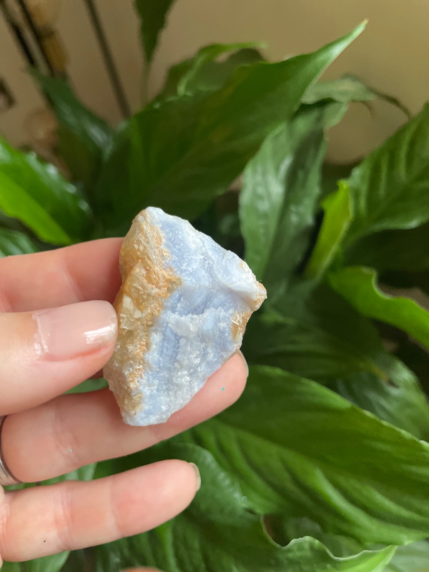 Blue Lace Agate