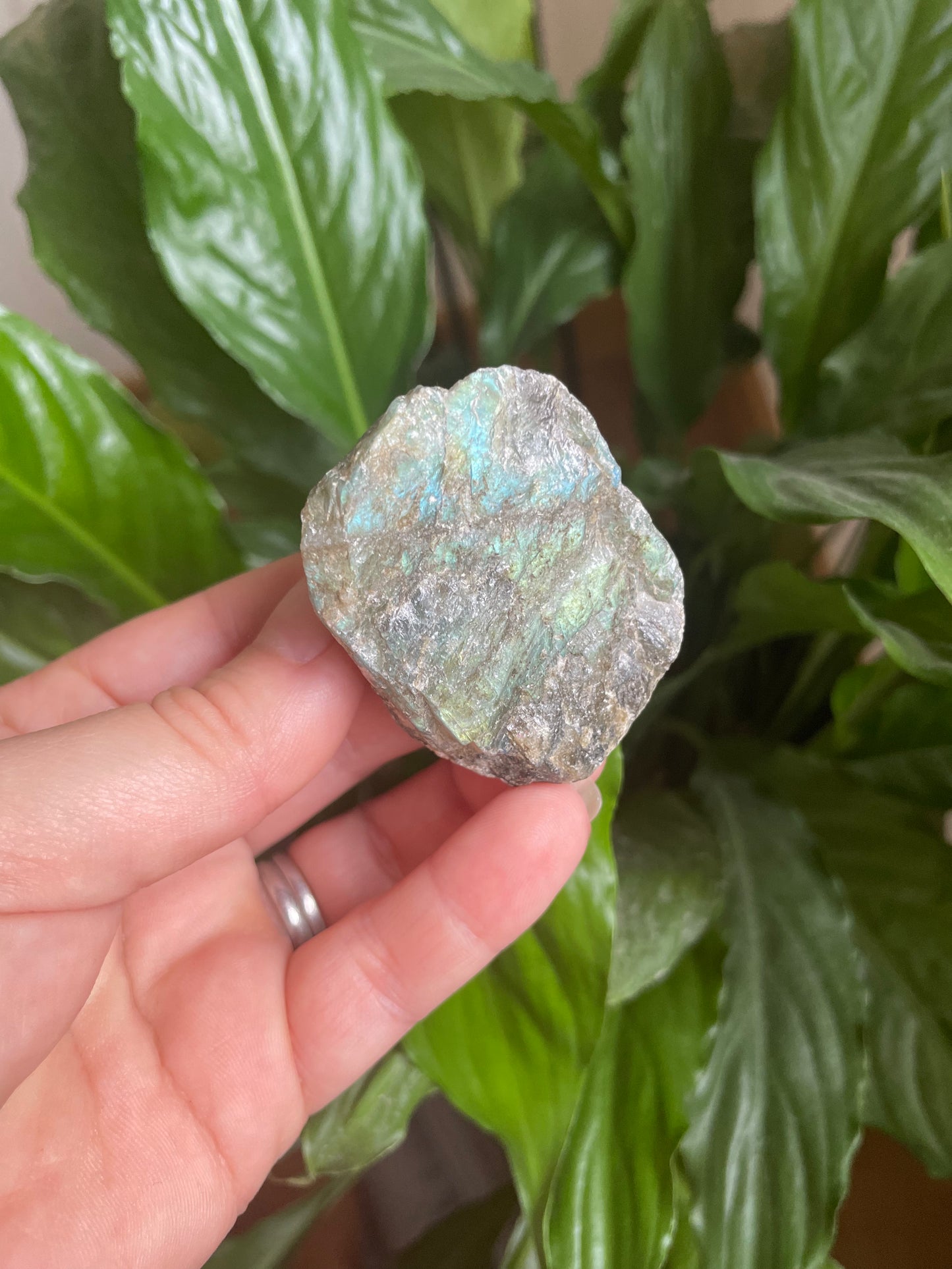 Raw Labradorite
