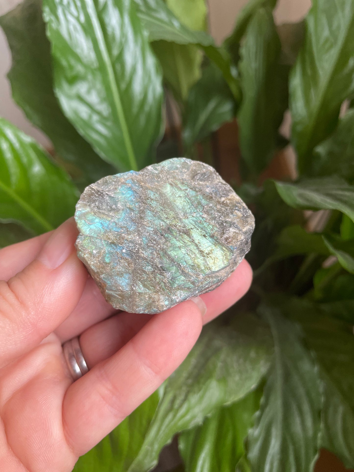 Raw Labradorite