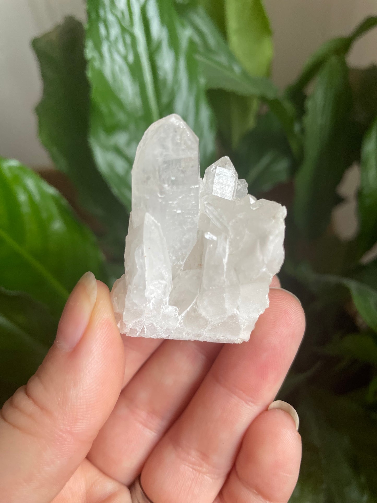 Raw Clear Quartz Cluster