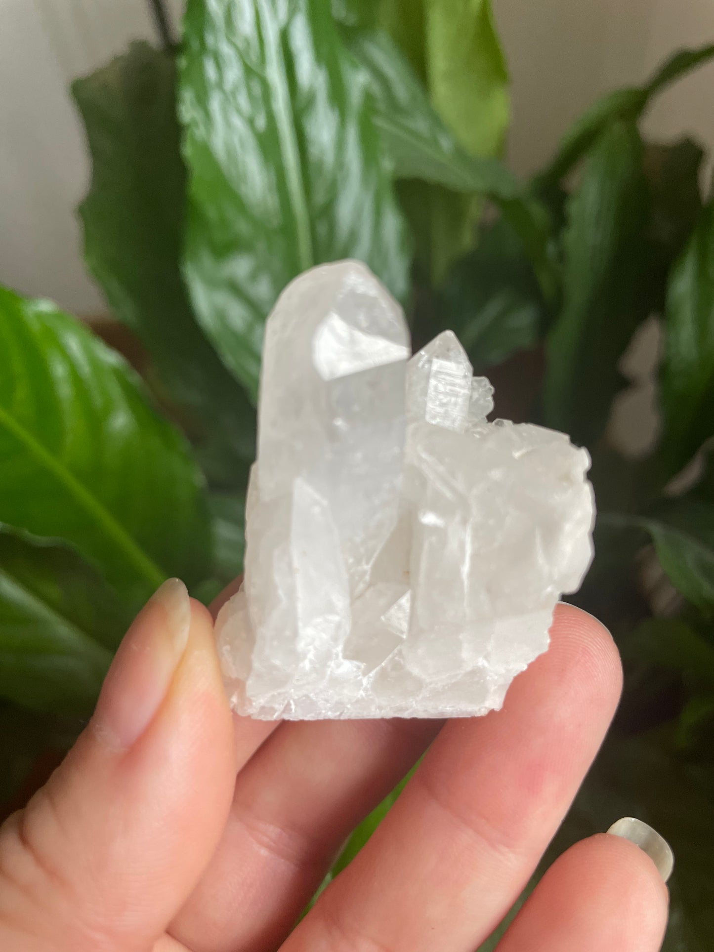 Raw Clear Quartz Cluster