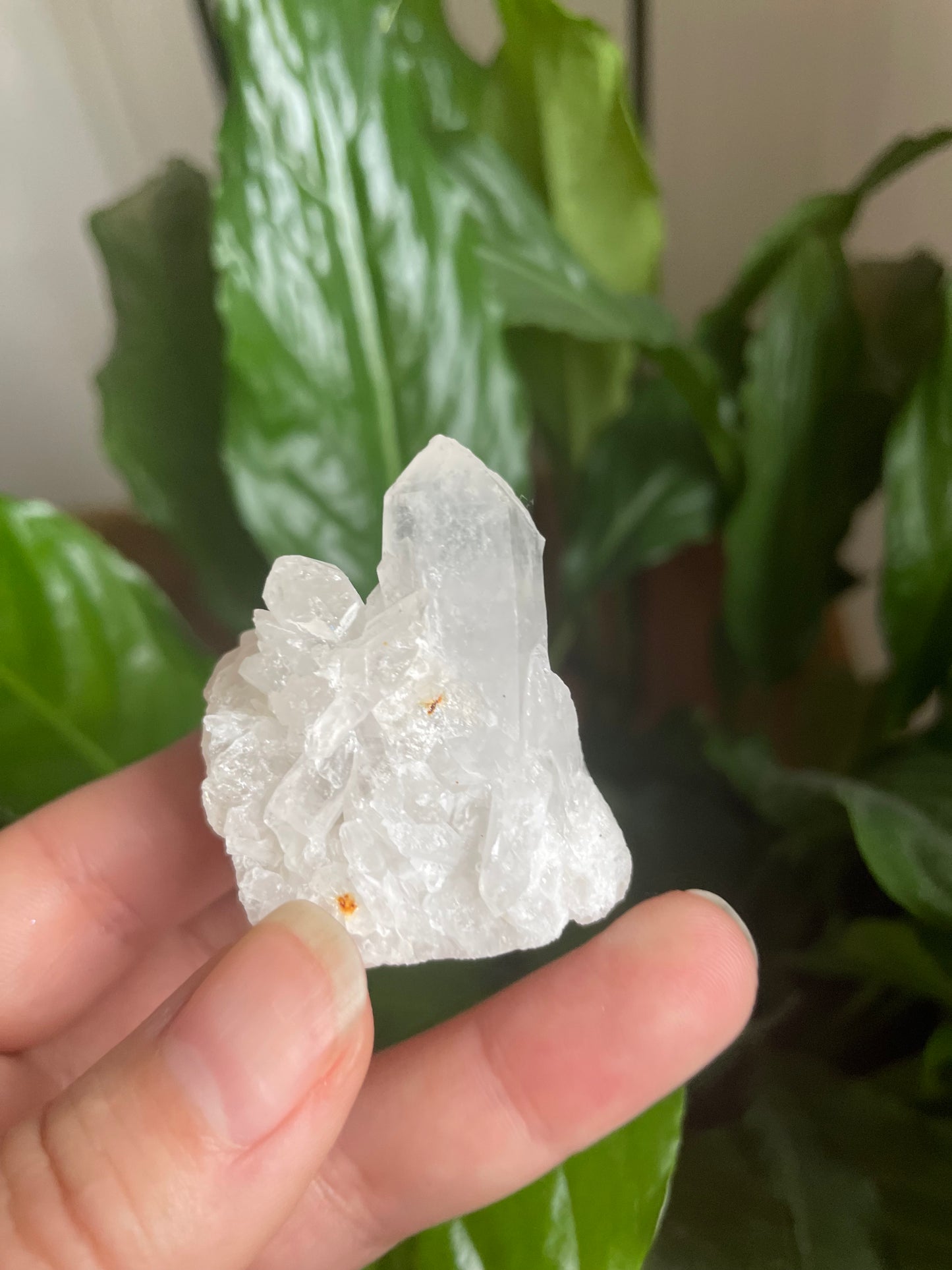Raw Clear Quartz Cluster
