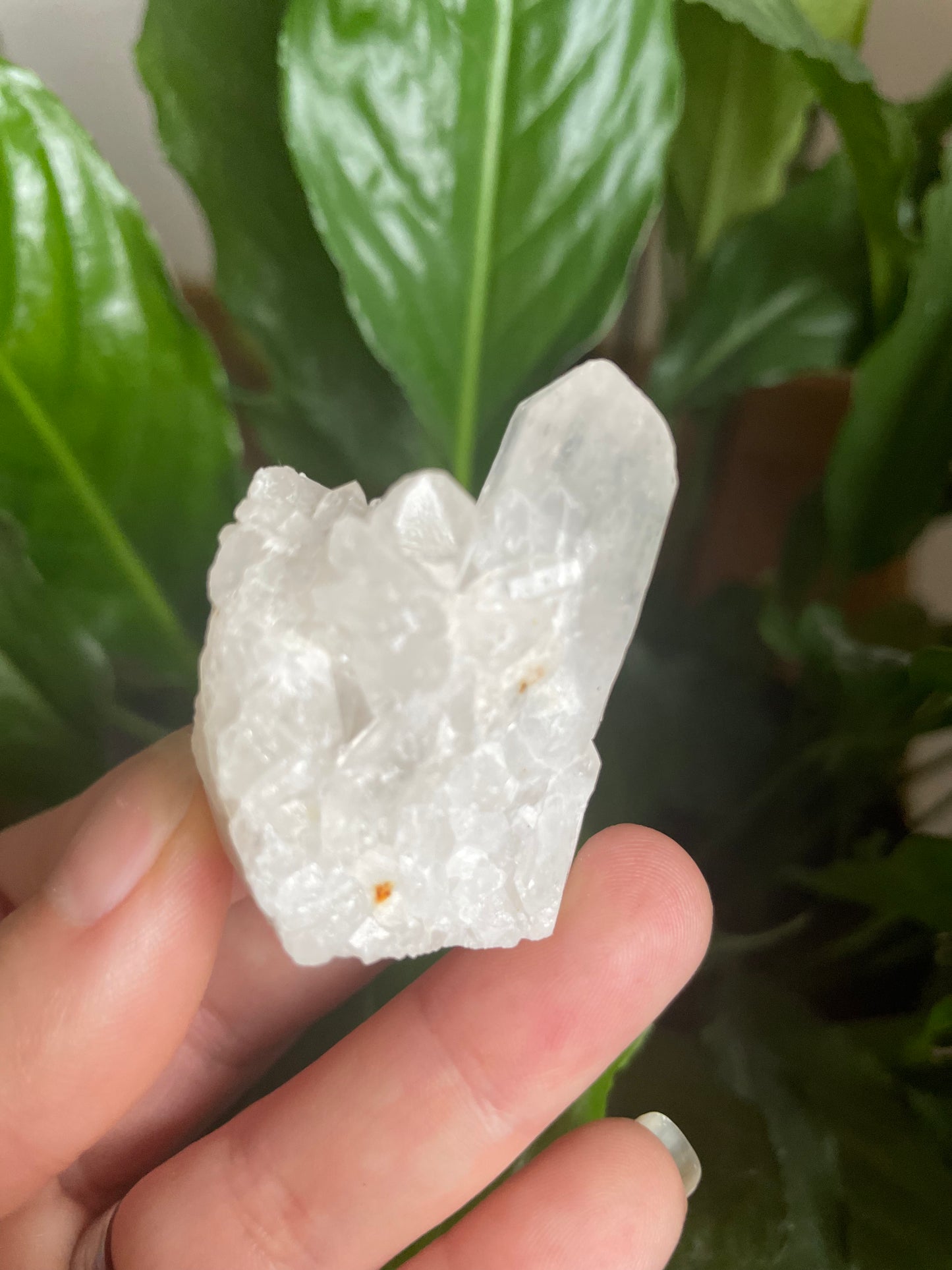 Raw Clear Quartz Cluster