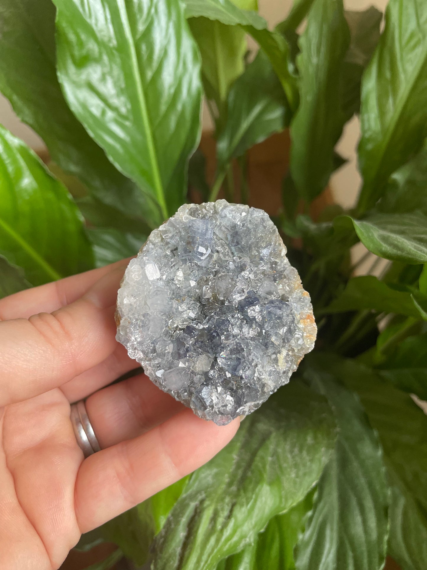 Black Amethyst Cluster