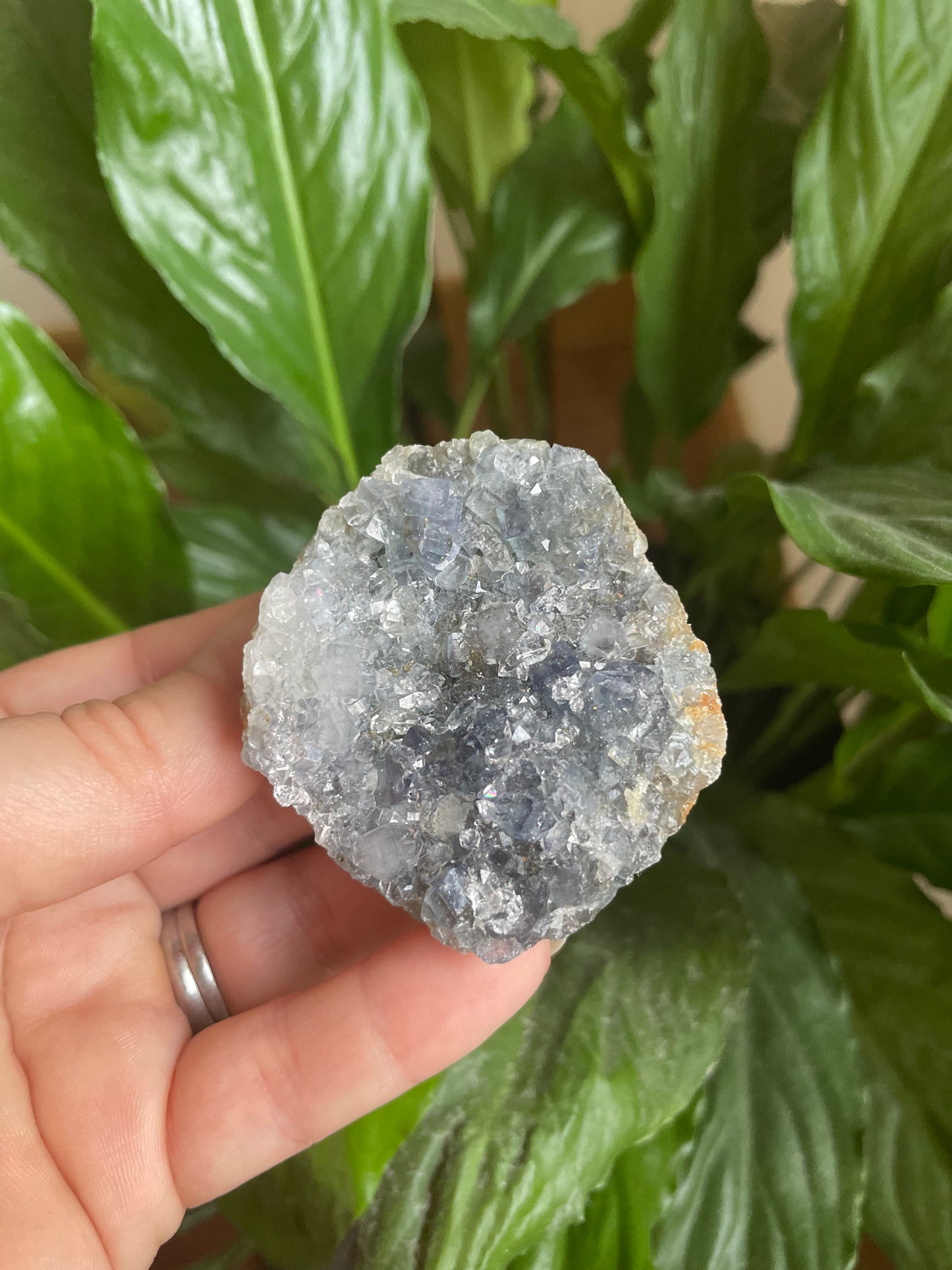 Black Amethyst Cluster