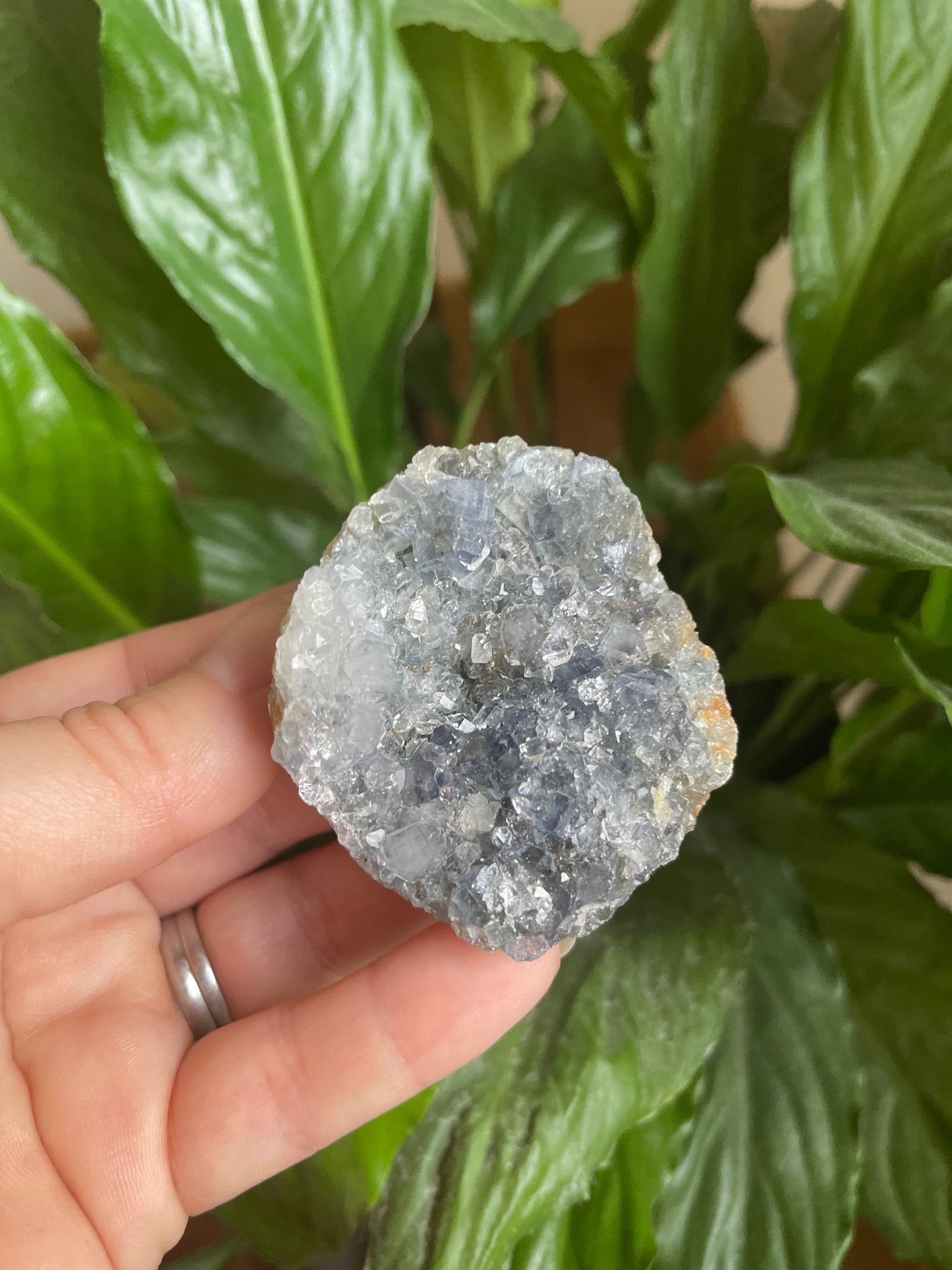 Black Amethyst Cluster