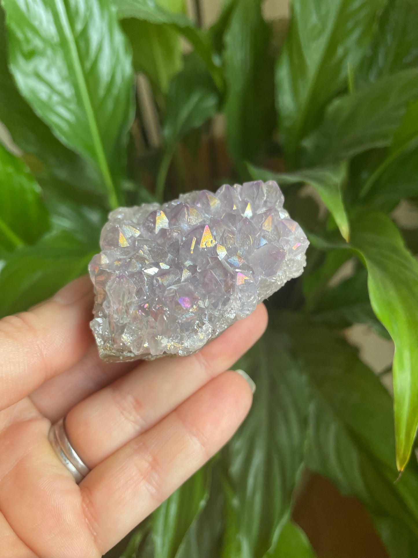 Aura Amethyst Cluster
