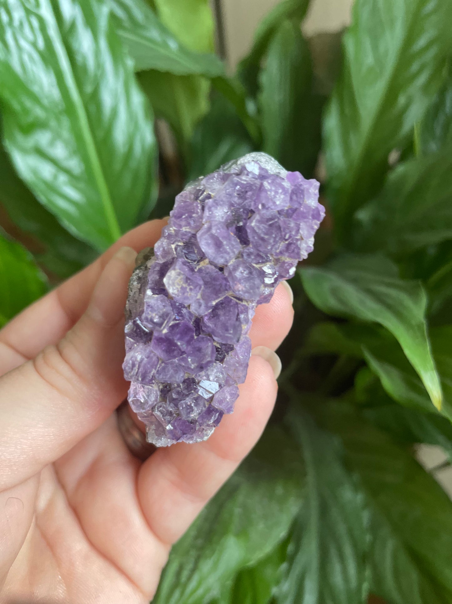 Amethyst Cluster Freeform