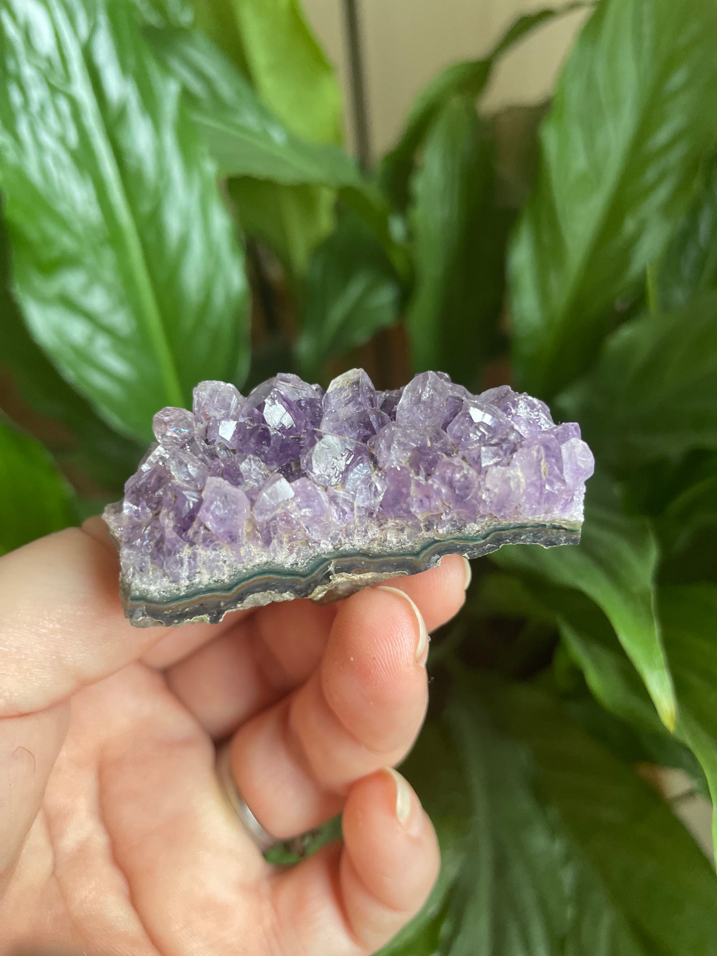 Amethyst Cluster Freeform