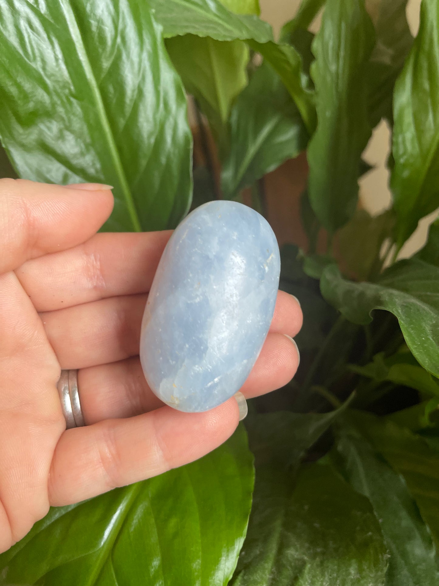 Celestine Palm Stone