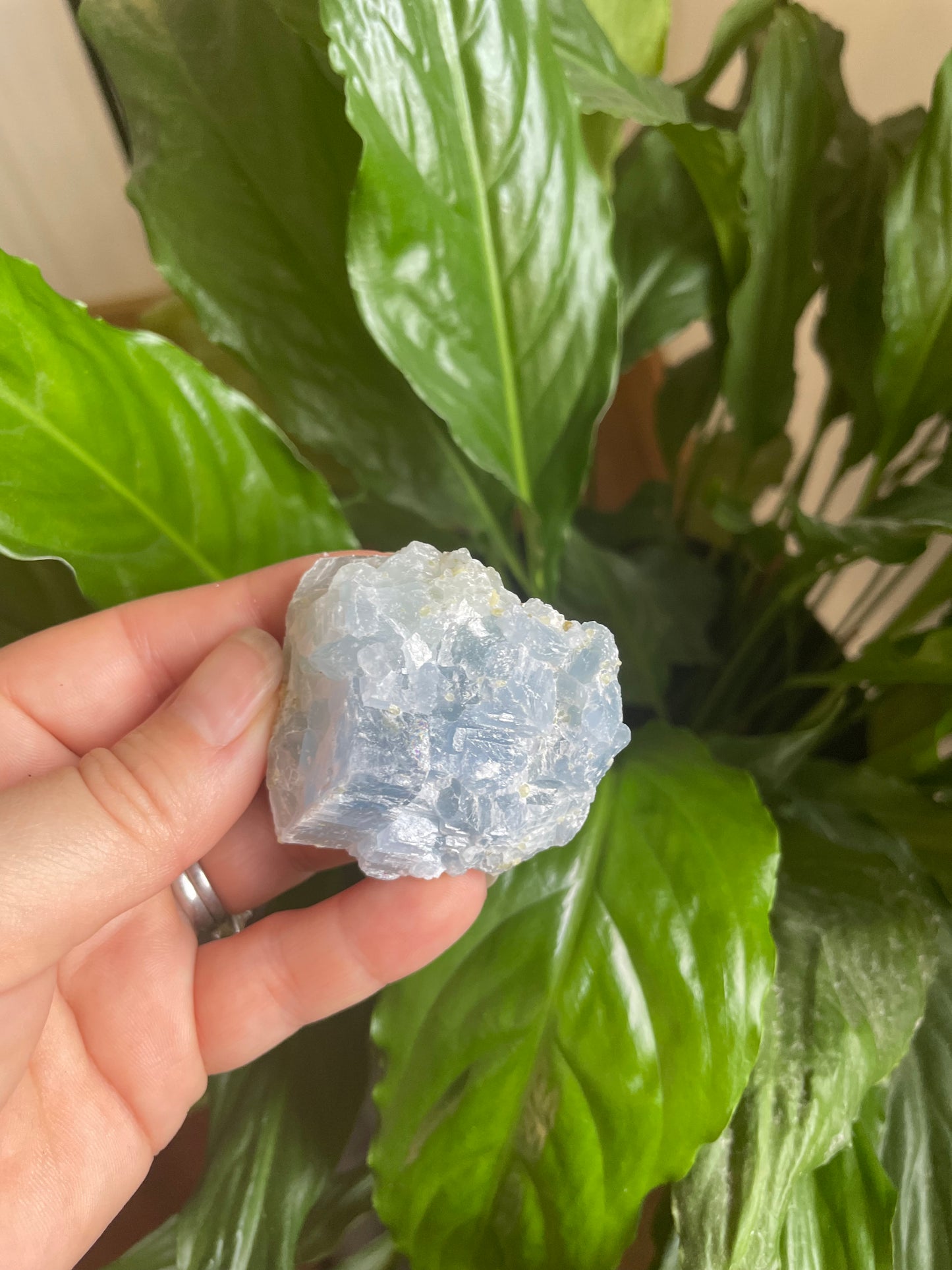 Raw Blue Calcite Cluster