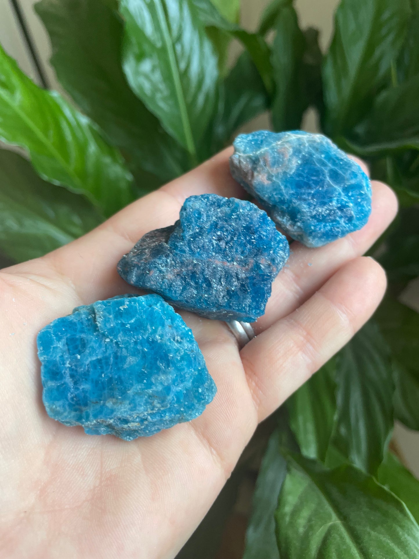 Raw Blue Apatite