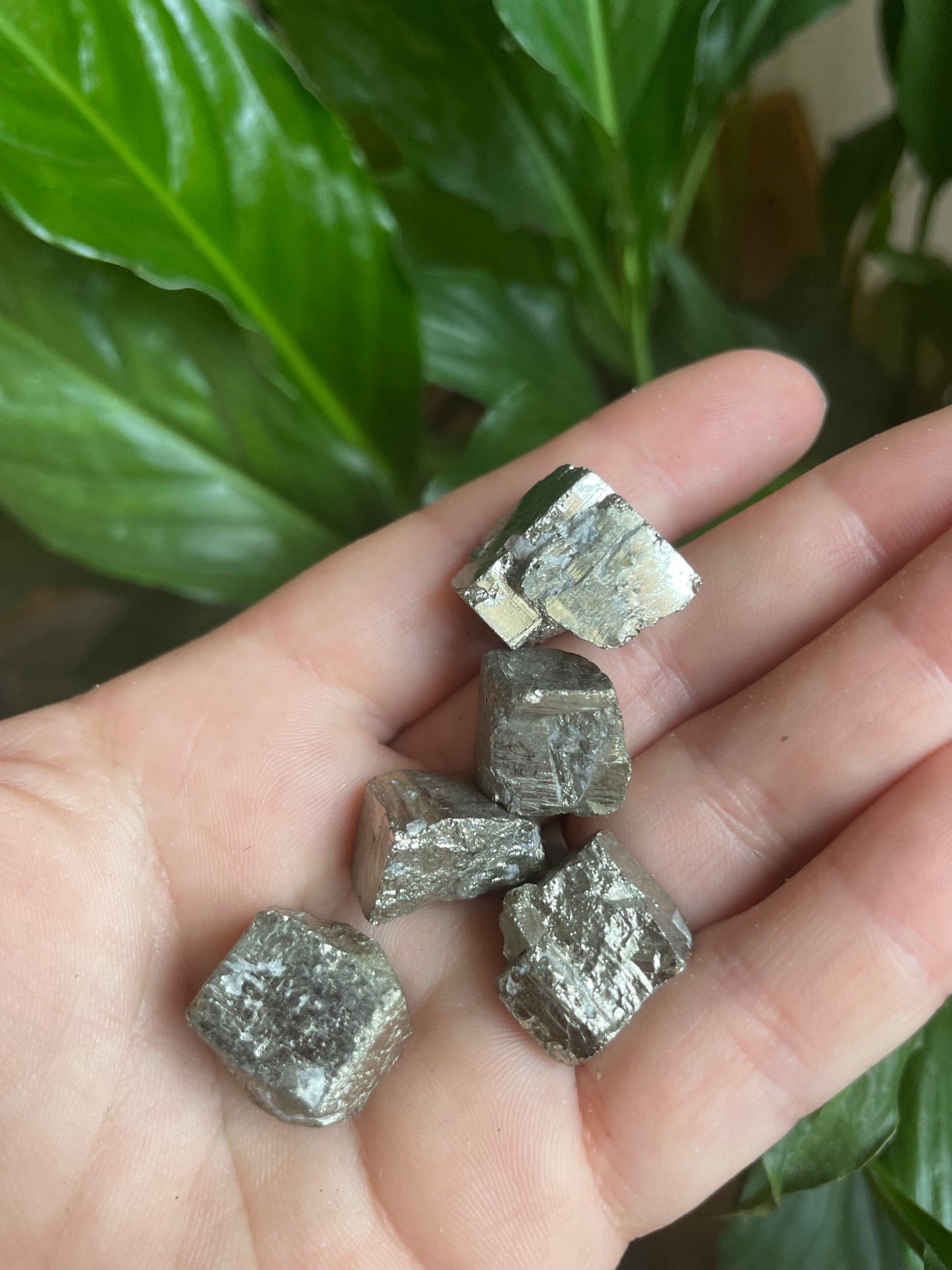 Pyrite Cubes