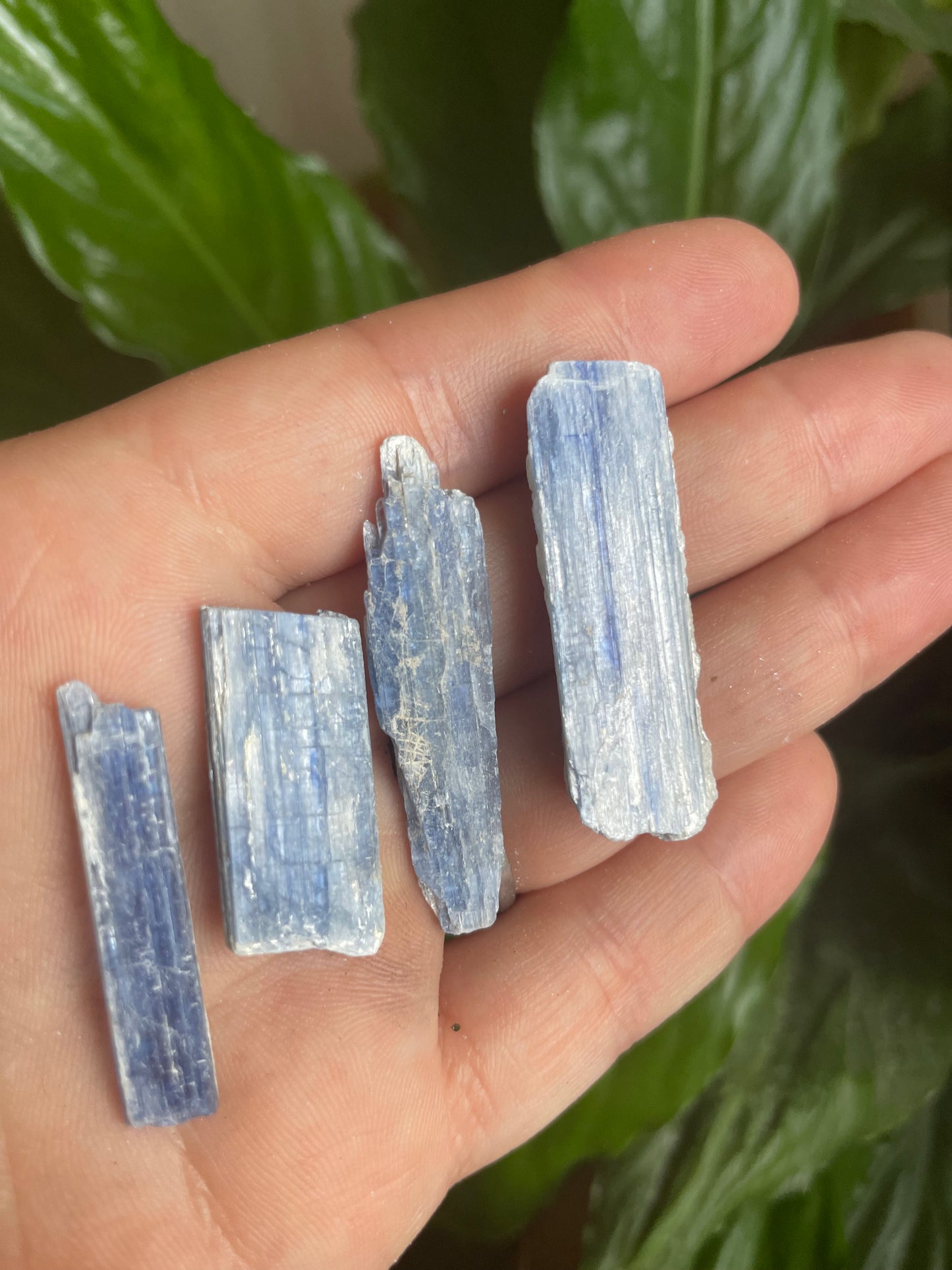 Raw Kyanite