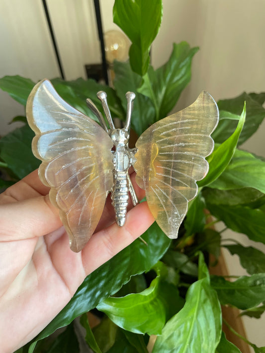 Fluorite Butterfly
