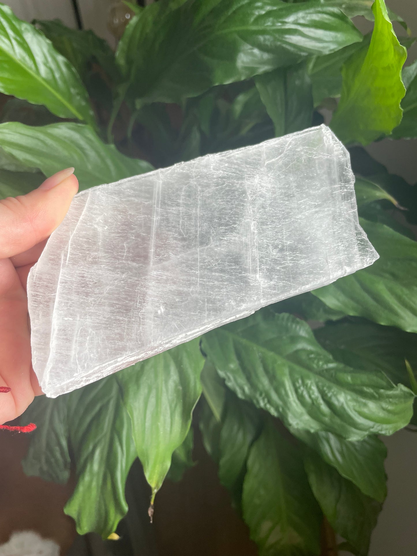 True Selenite Slab