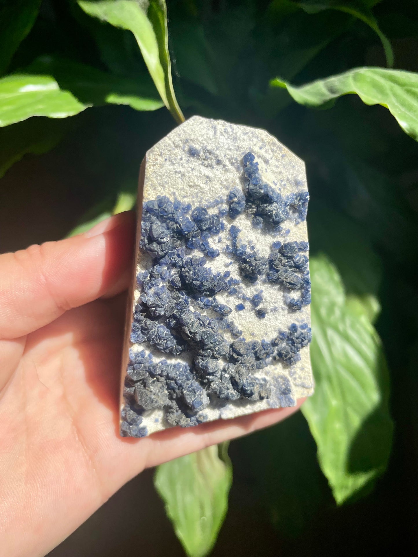 Rare Blue Fluorite Raw Specimen