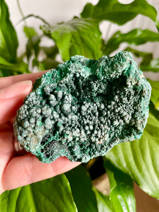 Malachite Velvet Raw Specimen