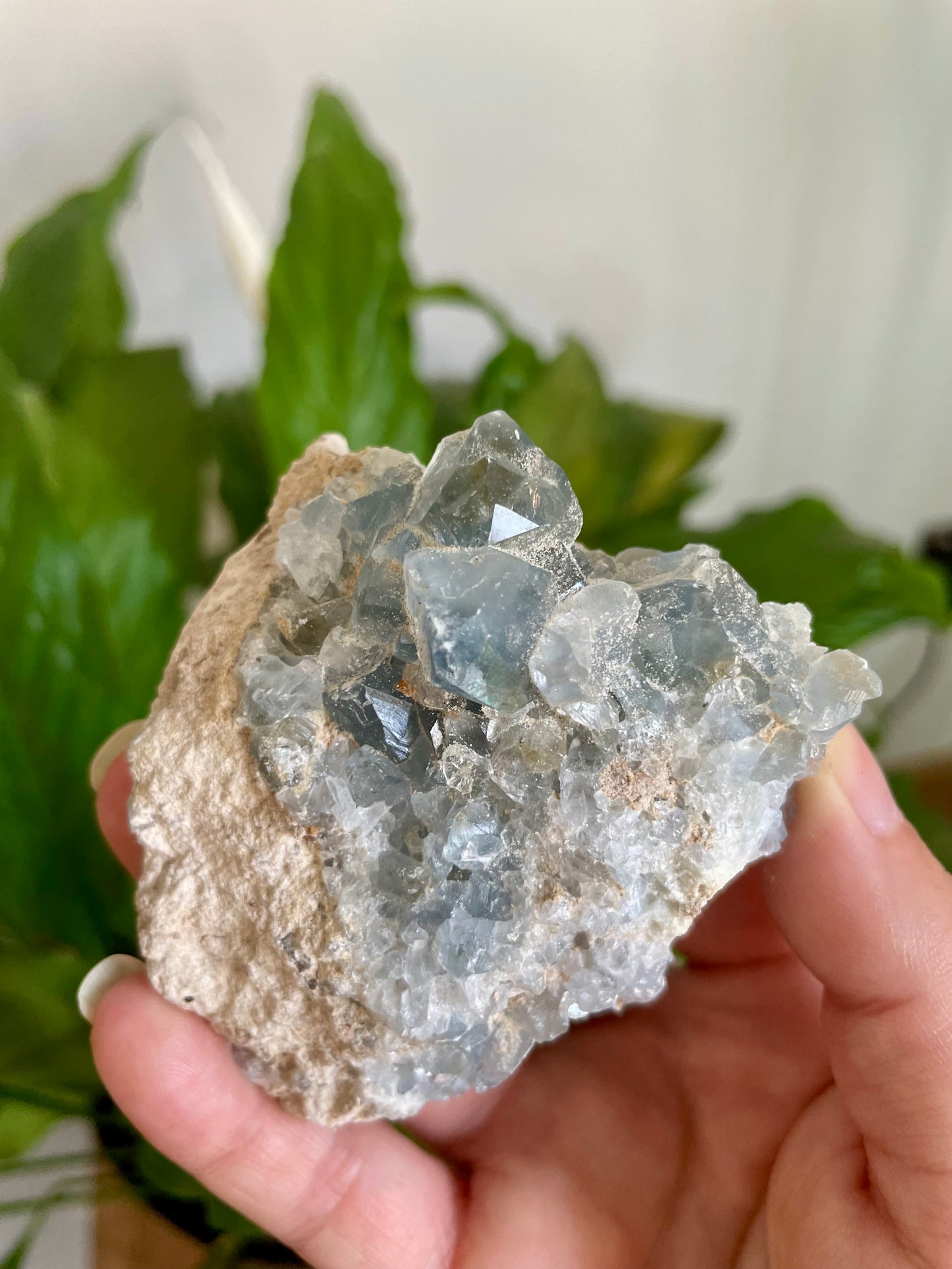 Celestite Raw Specimen
