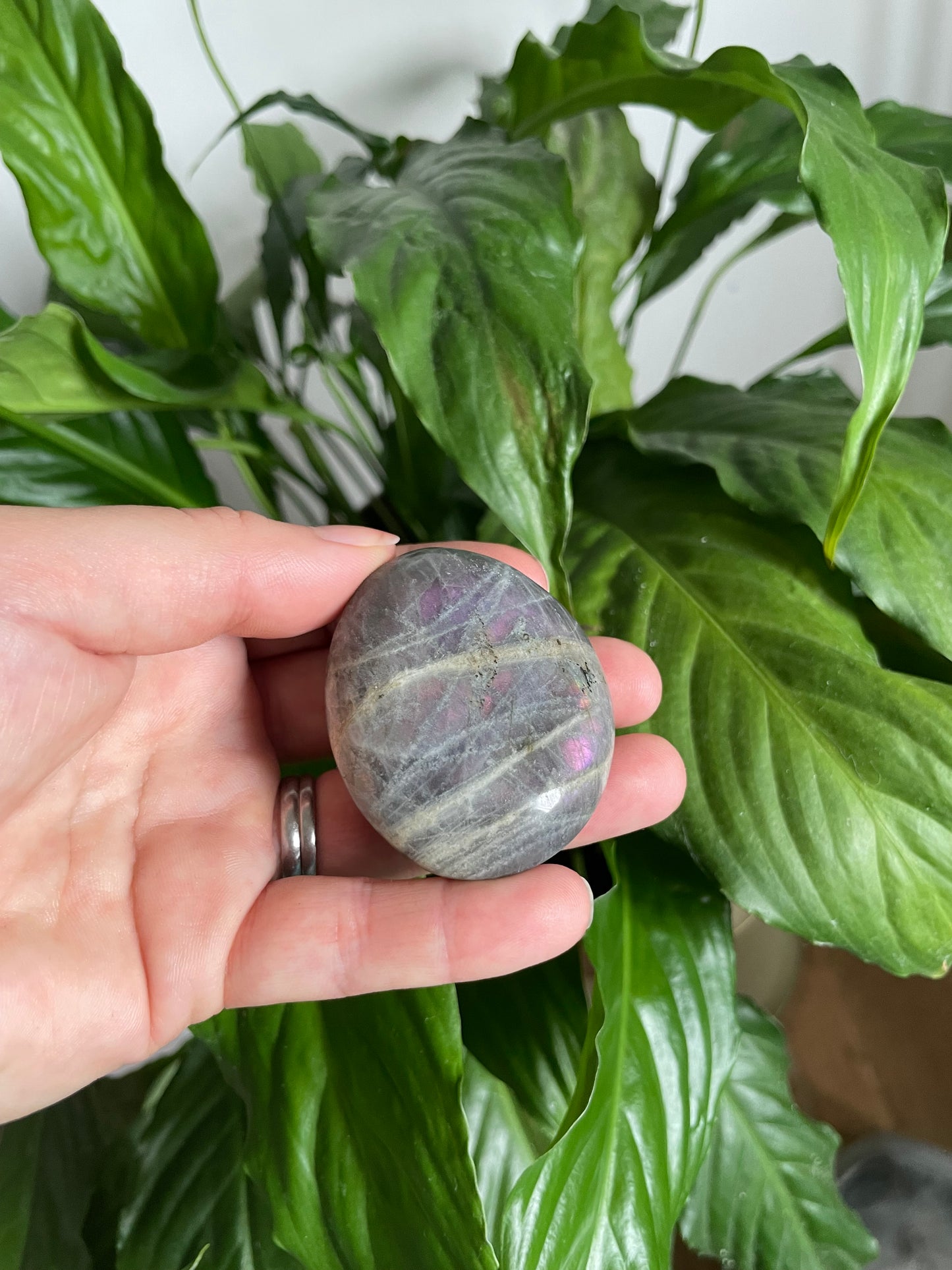 Labradorite Purple Flash Palm Stone