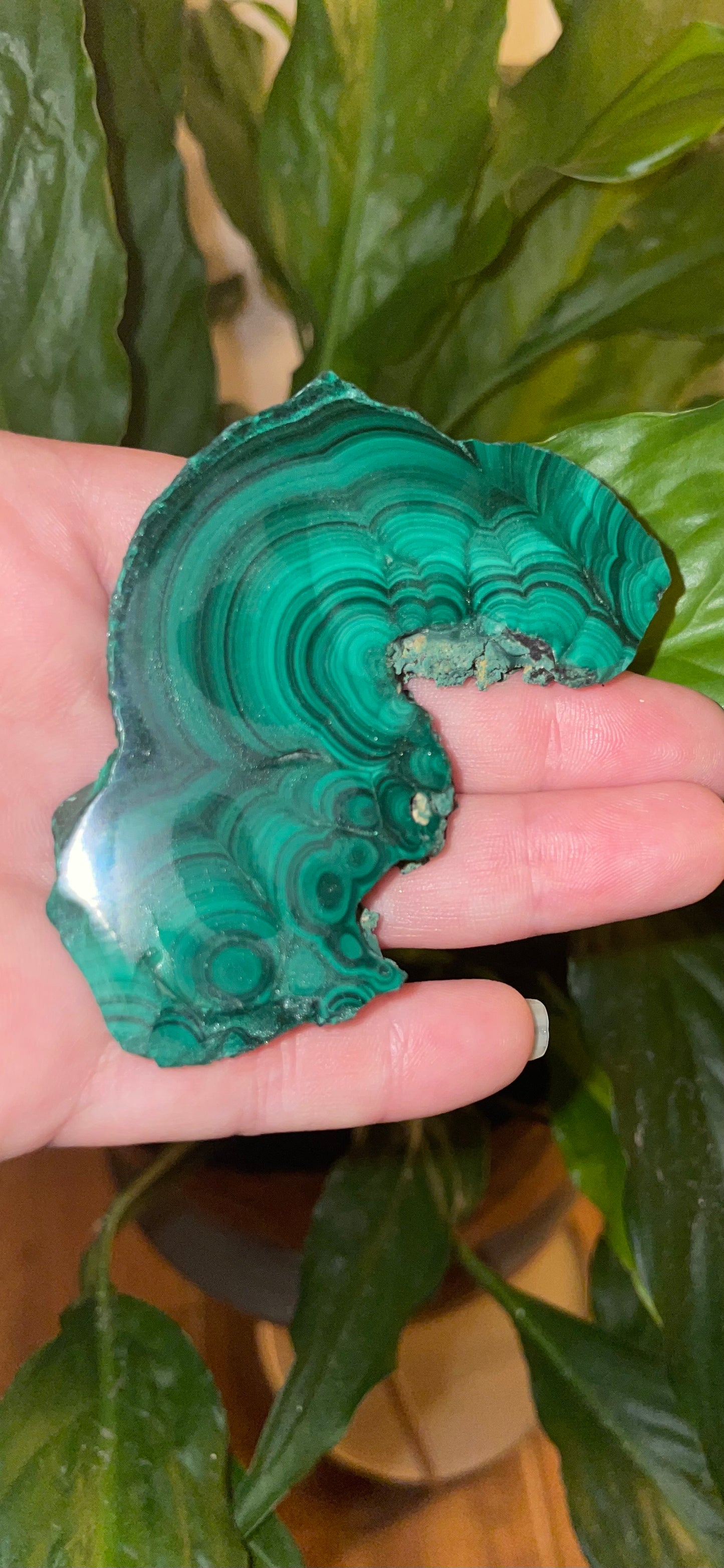 Malachite Polished Slab