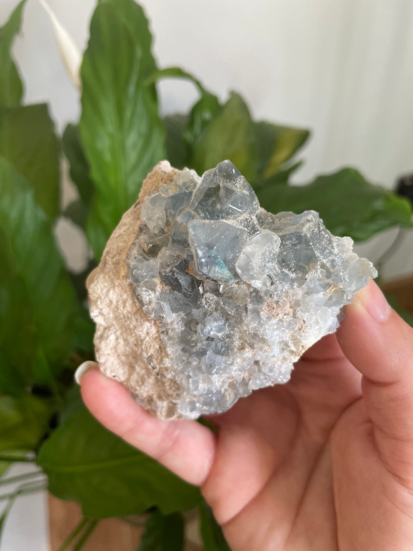 Celestite Raw Specimen