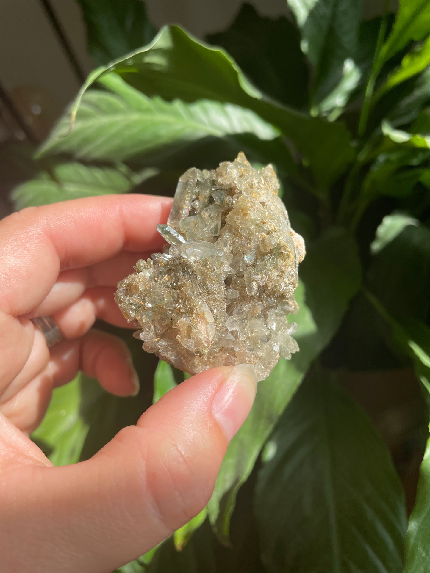 Phantom Quartz Raw Cluster Specimen