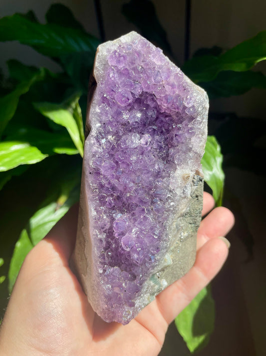 Amethyst Geode
