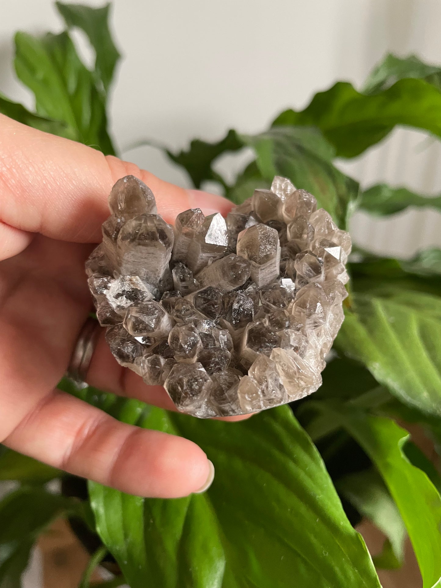 Smokey Quartz Specimen