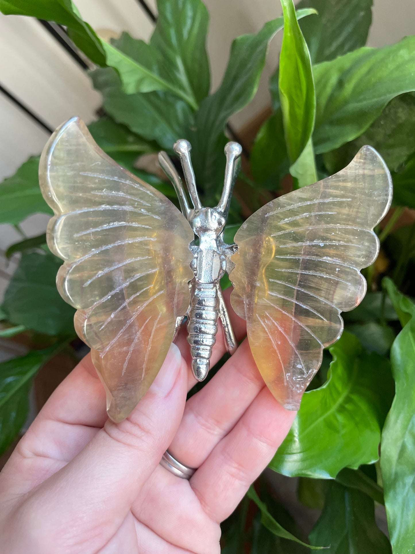 Fluorite Butterfly