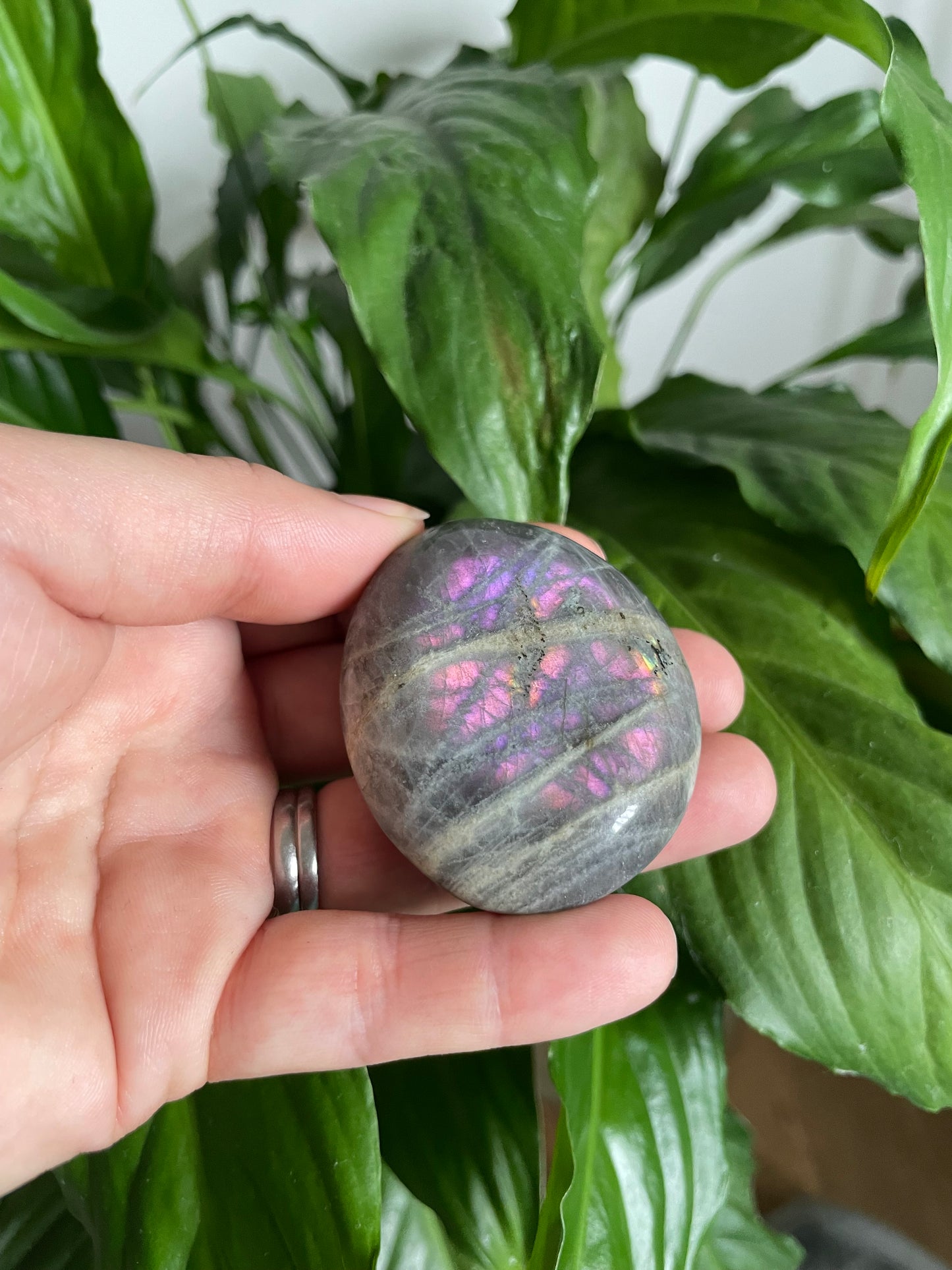 Labradorite Purple Flash Palm Stone