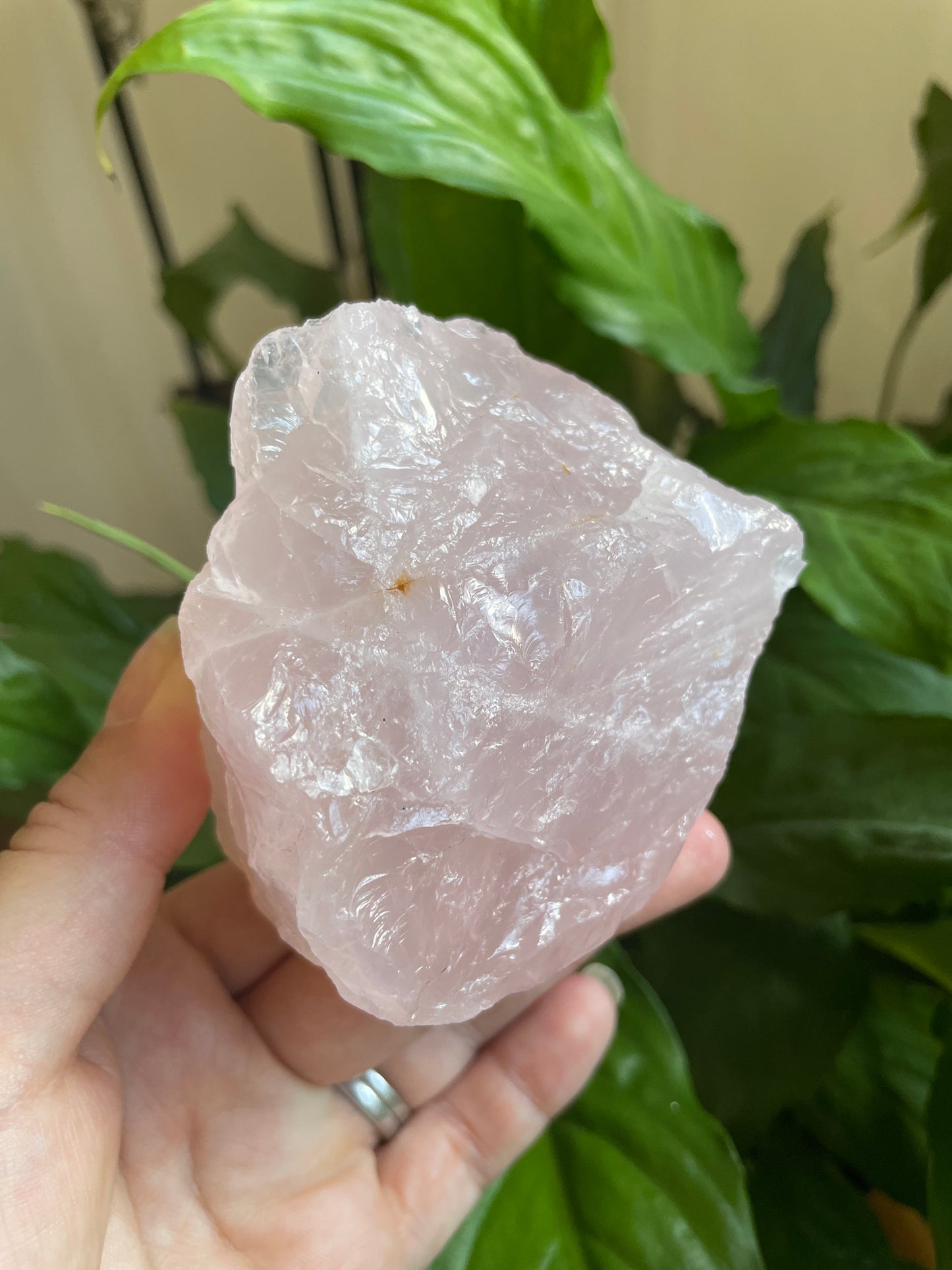 Rose Quartz Raw Crystal