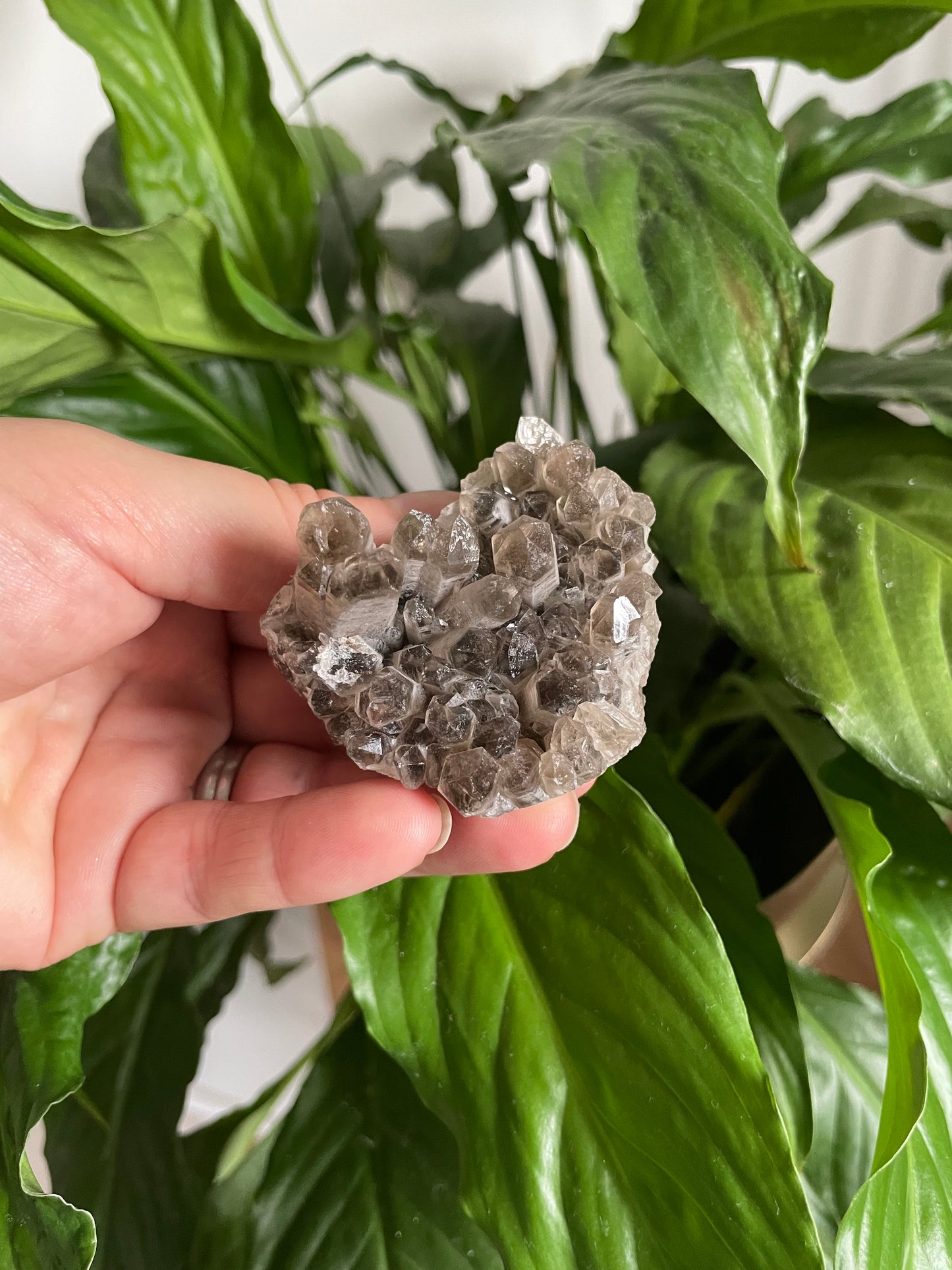 Smokey Quartz Specimen