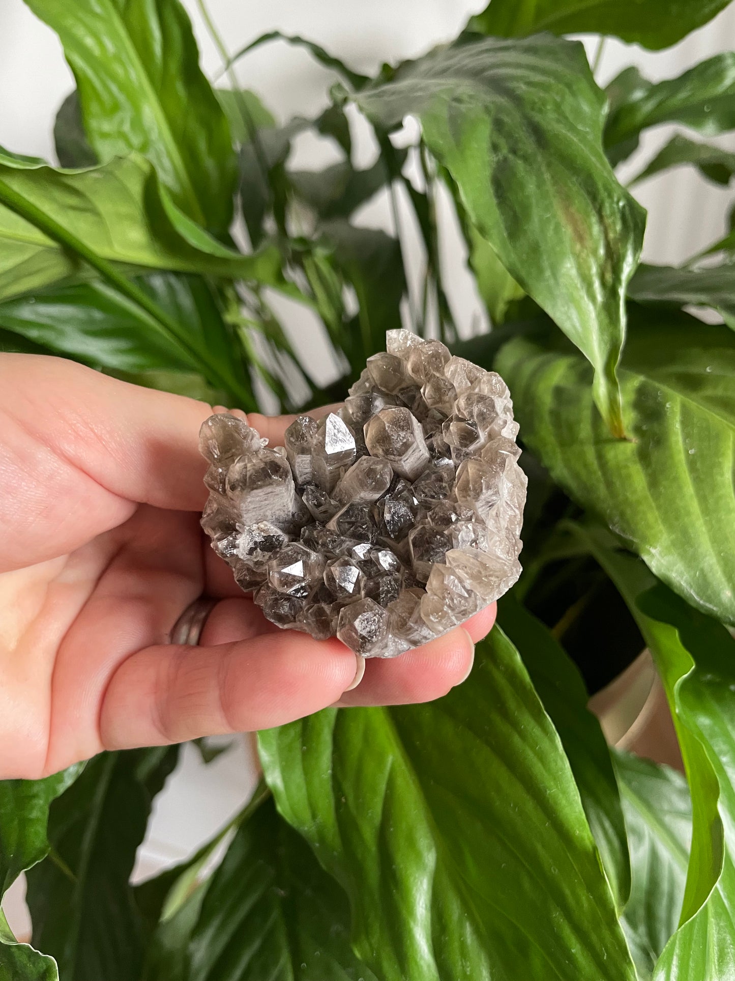 Smokey Quartz Specimen