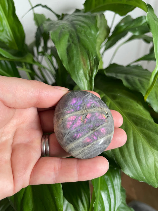 Labradorite Purple Flash Palm Stone