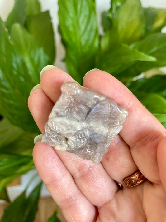 Moonstone Butterfly Carving